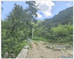  2025Ÿ��10613 ��� ���ֽ� �곻�� �Ϻθ� 859      ����(��)���