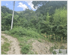  2025Ÿ��10613 ��� ���ֽ� �곻�� �Ϻθ� 859      ����(��)���