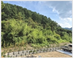  2025Ÿ��10613 ��� ���ֽ� �곻�� �Ϻθ� 859      ����(��)���