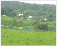  2025Ÿ��10617 ��� ���ֽ� �糲�� ��踮 235      ����(��)���