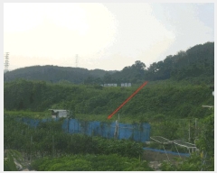  2025Ÿ��10617 ��� ���ֽ� �糲�� ��踮 235      ����(��)���