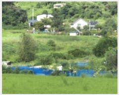  2025Ÿ��10617 ��� ���ֽ� �糲�� ��踮 235      ����(��)���