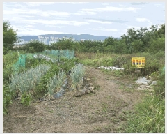  2025Ÿ��10665 ��� ���ֽ� ����� ���帮 194-3      ����(��)���