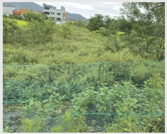  2025Ÿ��10665 ��� ���ֽ� ����� ���帮 194-3      ����(��)���