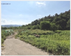  2025Ÿ��10665 ��� ���ֽ� ����� ���帮 194-3      ����(��)���