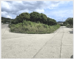  2025Ÿ��10687 ��� ���ֽ� ������ �Ȱ踮 ��31-45      ����(�Ӿ�)���