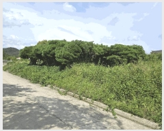  2025Ÿ��10687 ��� ���ֽ� ������ �Ȱ踮 ��31-45      ����(�Ӿ�)���