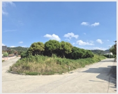  2025Ÿ��10687 ��� ���ֽ� ������ �Ȱ踮 ��31-45      ����(�Ӿ�)���