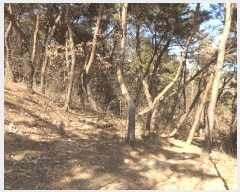  2025Ÿ286  ֽ 嵿 38-1       (Ӿ)