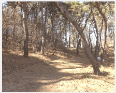  2025Ÿ286  ֽ 嵿 38-1       (Ӿ)