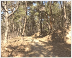  2025Ÿ286  ֽ 嵿 38-1       (Ӿ)