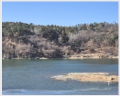  2025Ÿ286  ֽ 嵿 38-1       (Ӿ)