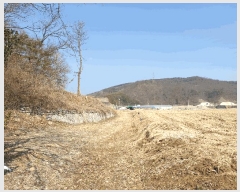  2025Ÿ��335  �Ӿ߰��