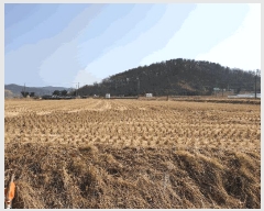  2025Ÿ��335  �Ӿ߰��