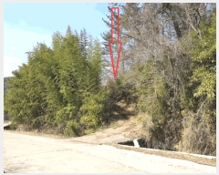  2025Ÿ��335  �Ӿ߰��