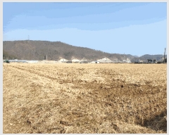  2025Ÿ��335  �Ӿ߰��