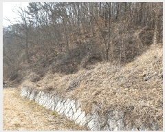  2025Ÿ��335  �Ӿ߰��