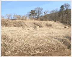  2025Ÿ��335  �Ӿ߰��