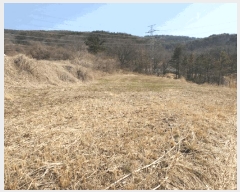  2025Ÿ��335  �Ӿ߰��