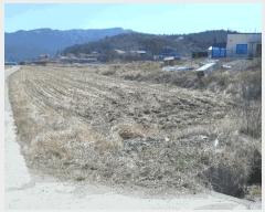  2025Ÿ��353  ����