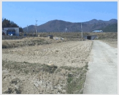  2025Ÿ��353  ����