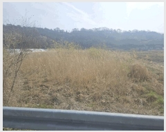  2025Ÿ361  ֽ  ̸ 380-1      ()