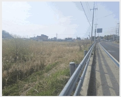  2025Ÿ361  ֽ  ̸ 380-1      ()