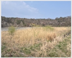  2025Ÿ361  ֽ  ̸ 380-1      ()