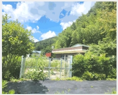  2025Ÿ��389  ���ð��