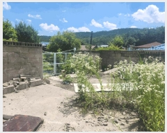  2025Ÿ��389  ���ð��