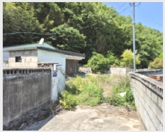  2025Ÿ��389  ���ð��