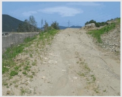  2025Ÿ396  ֽ  󱸸 689      (1)