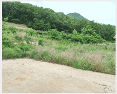  2025Ÿ405  ֽ  ɰ 2-1      ()