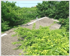  2025Ÿ��425 ��� ���ֽ� ��õ�� ������ 19-3      ���ð��