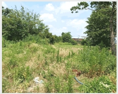  2025Ÿ��425 ��� ���ֽ� ��õ�� ������ 19-3      ���ð��