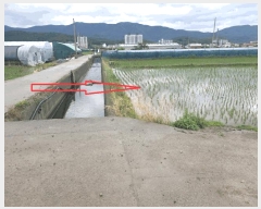  2025Ÿ��433 ��� ���ֽ� ��õ�� õ���� 481-10      ����(��)���