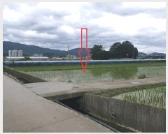  2025Ÿ��433 ��� ���ֽ� ��õ�� õ���� 481-10      ����(��)���