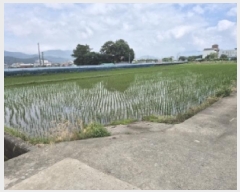  2025Ÿ��433 ��� ���ֽ� ��õ�� õ���� 481-10      ����(��)���