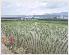  2025Ÿ��433 ��� ���ֽ� ��õ�� õ���� 481-10      ����(��)���