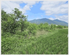  2025Ÿ��445 ��� ���ֽ� �Ȱ��� ���긮 1137-5      ����(��)���