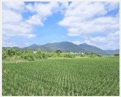  2025Ÿ��445 ��� ���ֽ� �Ȱ��� ���긮 1137-5      ����(��)���