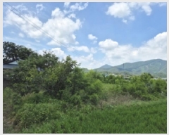  2025Ÿ��445 ��� ���ֽ� �Ȱ��� ���긮 1137-5      ����(��)���