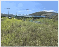  2025Ÿ��461  ����