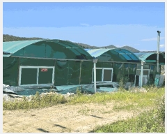  2025Ÿ��461  ����