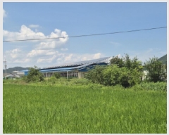  2025Ÿ��461  ����