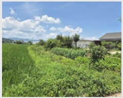  2025Ÿ��461  ����