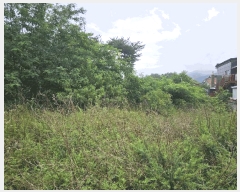  2025Ÿ��465  �������