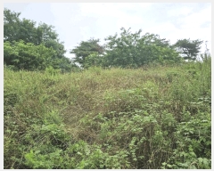  2025Ÿ��465  �������