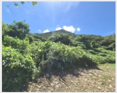  2025Ÿ��469  ���������