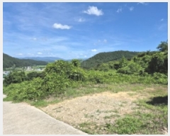  2025Ÿ��469  ���������